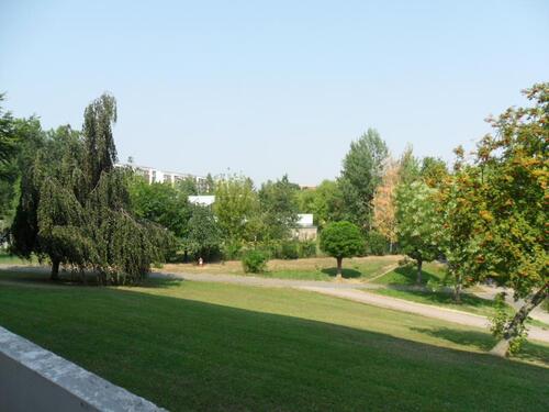 Foto - Etagenwohnung in Gera
