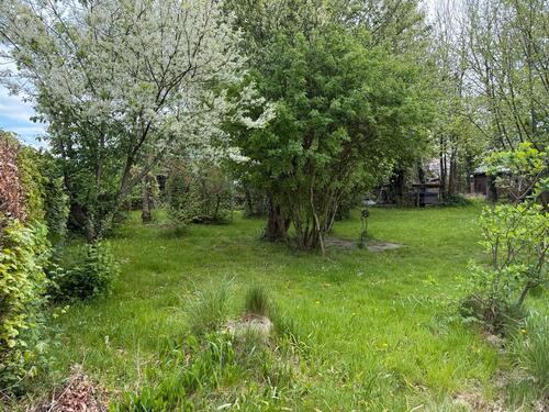 Foto - Einfamilienhaus in Meldorf zum Kaufen