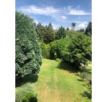 Von Privat-Außergewöhnliche 2 Zi, Wohnküche, D,B,WC, Loggia, 72qm - Krefeld Benrad Von Privat-Außergewöhnliche 2 Zi, Wohnküche, D,B,WC, Loggia, 72qm - Krefeld Benrad