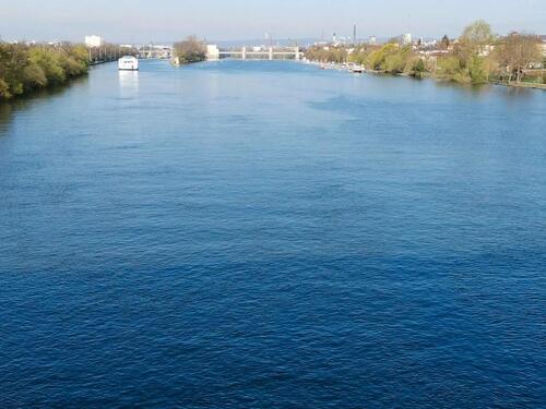 Foto - Frankfurt: Schöne, helle 3ZW Nähe Main, Park u. S-Bhf in 6-FH