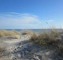 Urlaub am Südstrand auf Fehmarn Ferienwohnung - ab 45€ Tag