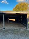 Foto - andere in Hohenhorn