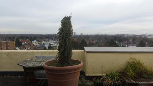 Foto - 