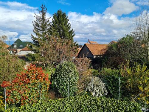 Foto - Etagenwohnung in Maikammer zur Miete