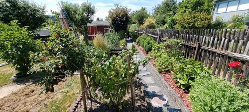 Foto - Grundst&uuml;ck zur Miete in Plauen
