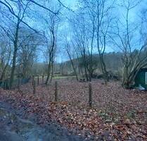 Freizeit- und Gartengrundstück ohne KLGV mit 2100m² in Seenähe - Mölln