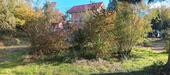 Foto - Grundstück in Ochsenhausen