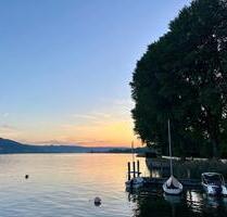 BodenseeHöri: Idyllisch liegendes EFH mit Garten befristet zvm - Gaienhofen