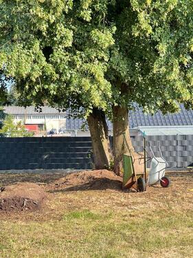 Foto - Einfamilienhaus zum Kaufen in Fürstenwalde (Spree)