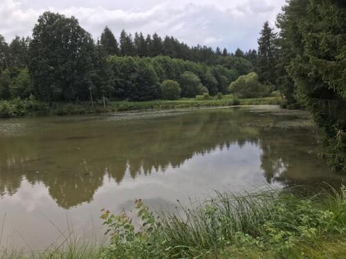Foto - Grundstück in Feuchtwangen zur Miete