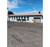 Gewerbehalle, Halle, Werkstatt, Lager, Produktion in Löhne