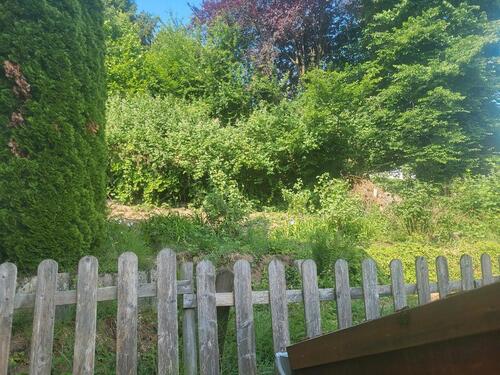Foto - Einfamilienhaus in Wald-Michelbach zum Kaufen