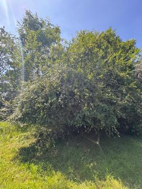 Foto - Etagenwohnung in Neukirchen-Vluyn zur Miete