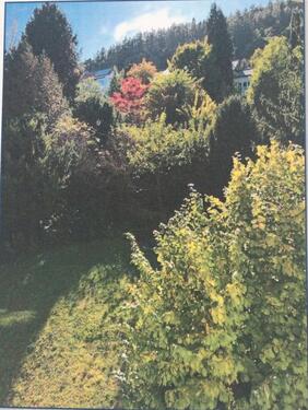 Foto - Schöne 2 Zimmer Wohnung zu vermieten in Bad Orb