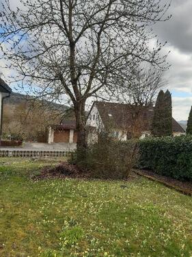 Foto - Garten zu verpachten - 130,00&nbsp;EUR Kaltmiete, ca.&nbsp; 0,00&nbsp;m&sup2;