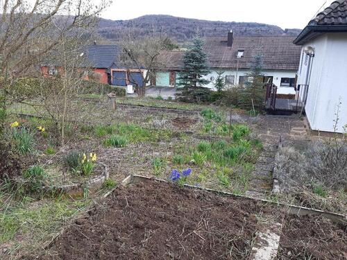 Foto - Grundst&uuml;ck zur Miete in Ebermannstadt