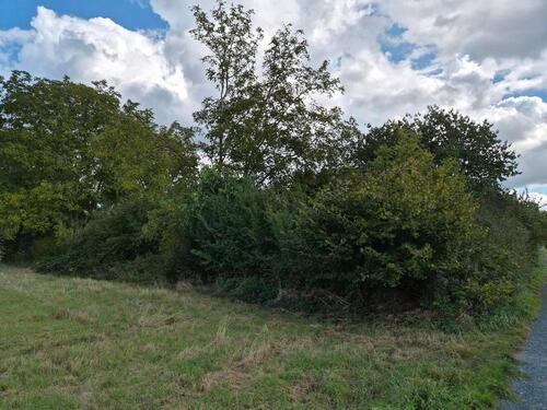Foto - Grundstück in Alfeld (Leine)