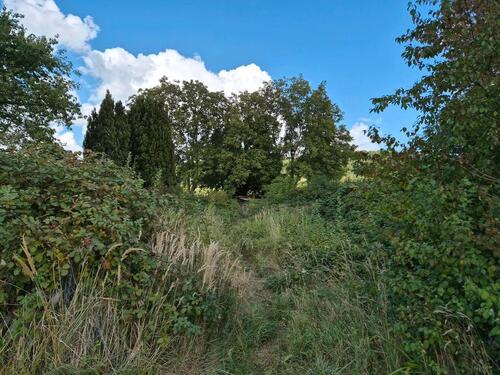 Foto - Grundstück in Alfeld (Leine) zur Miete