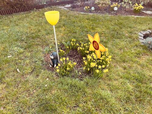 Foto - Wohnung zu vermieten, vier Zimmer ein großer Hobbyraum