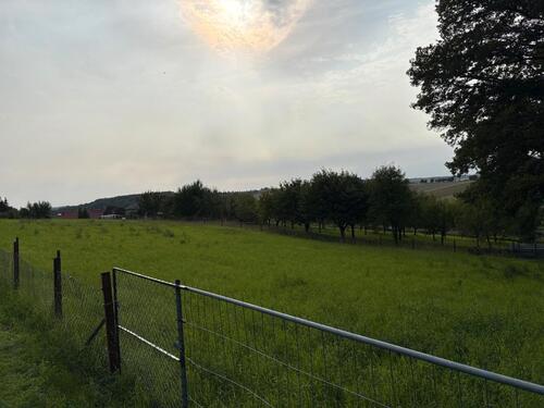 Foto - Einfamilienhaus zum Kaufen in Bad Sulza