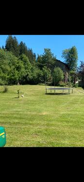 Foto - 2 Zimmer Erdgeschoßwohnung zum Kaufen in Zwiesel