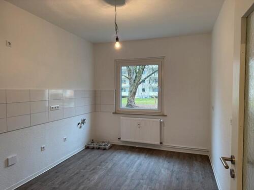 Foto - 2 Zimmer Erdgeschoßwohnung zur Miete in Braunschweig