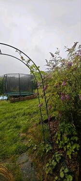 Foto - Grundst&uuml;ck zur Miete in Pirna