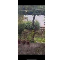 Wohnung zur mi - 1.300,00 EUR Kaltmiete, in Vörstetten (PLZ: 79279)