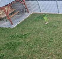 Helle 1,5-Zimmer- Dachgeschosswohnung in ruhiger Lage - Marktoberdorf