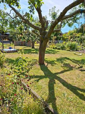 Foto - Garten abzugeben in Zwickau Planitz