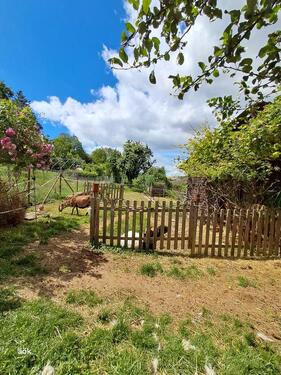 Foto - 7 Zimmer Bauernhaus, Landhaus zum Kaufen in Welschbillig