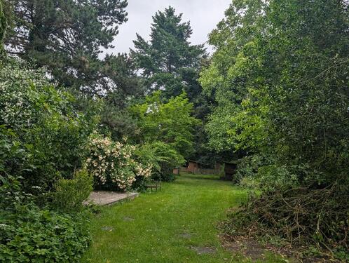 Foto - Einfamilienhaus in Salzkotten zum Kaufen