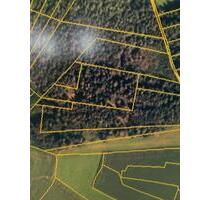 Wald 8.520 qm in 83339 Chieming Schützing