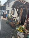 Foto - Haus Grundstück mit Hindernissen - Döttesfeld
