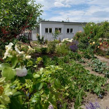 Foto - Kleingarten, Garten - 1.500,00 EUR Kaltmiete, ca.  0,00 m²