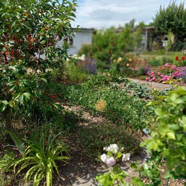 Foto - Grundstück in Wettin-Löbejün zur Miete