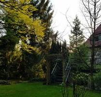 Außergewöhnliches Anwesen im Herzen Uslars mit parkähnlichem Gart