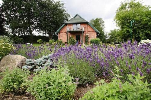Foto - andere zur Miete in Wittenburg