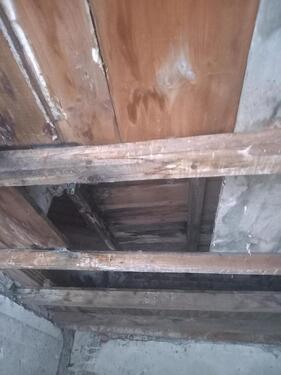 Foto - andere in Berlin