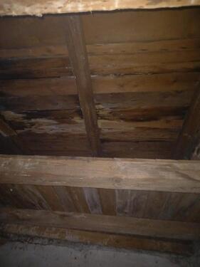 Foto - andere in Berlin zur Miete