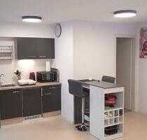 Wohnen auf Zeit: möbl. Apartment Studenten- bzw. Ferienwohnung - Untereisesheim