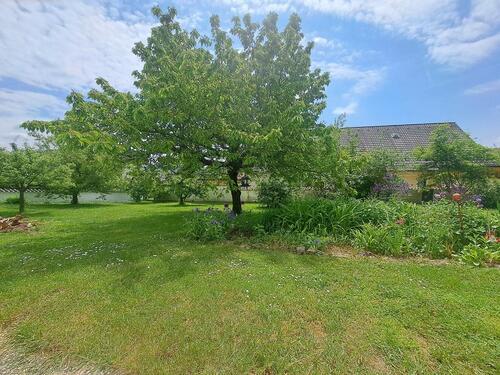 Foto - 1 Zimmer Etagenwohnung in Pettendorf