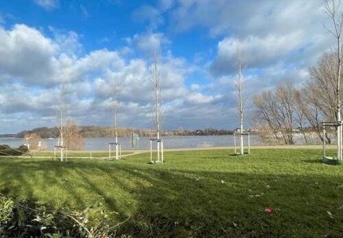 Foto - Einfamilienhaus zum Kaufen in Wesseling