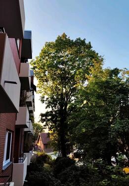 Foto - Etagenwohnung zur Miete in Delmenhorst