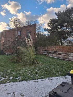 Foto - Wohnhaus in PLZ 15320 Klein Barnim zu vermieten