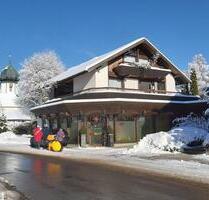 Helle 2-Zimmerwohnung 49m² mit großem Balkon - Hinterzarten