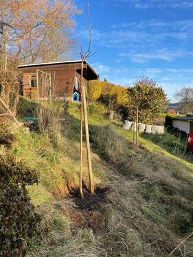 Foto - Kleingarten in wunderschöner Lage in Lößnitz abzugeben
