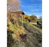 Kleingarten in wunderschöner Lage in Lößnitz abzugeben