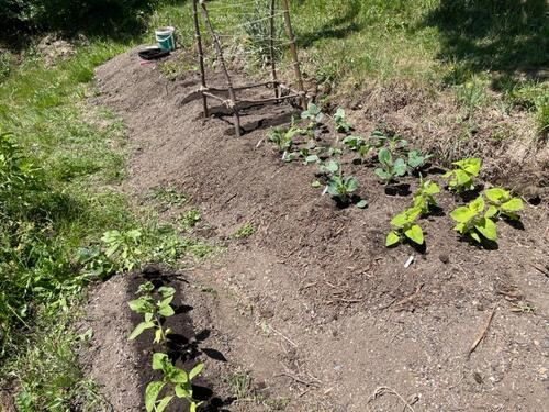 Foto - Grundst&uuml;ck in Lößnitz