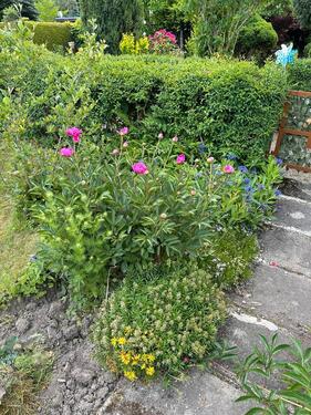 Foto - Grundst&uuml;ck zur Miete in Stollberg (Erzgebirge)